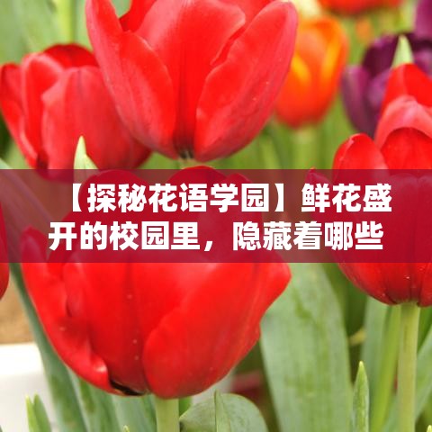 【探秘花语学园】鲜花盛开的校园里，隐藏着哪些未解之谜？每朵花都有故事，每个角落都有传说。