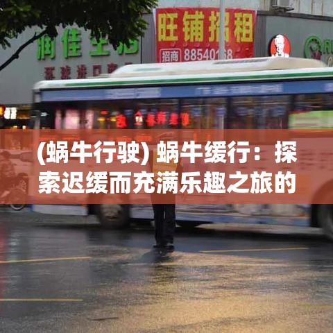 (蜗牛行驶) 蜗牛缓行：探索迟缓而充满乐趣之旅的意义与收获——慢行的艺术与科学解析